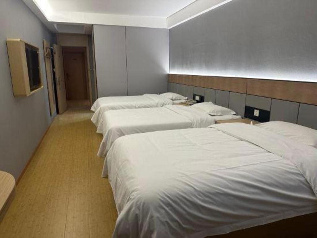 Greentree Middle Xinfu Road Huazhi Road Business Hotel 3*